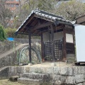 実際訪問したユーザーが直接撮影して投稿した祇園神社幸神社御堂の写真