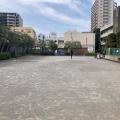 実際訪問したユーザーが直接撮影して投稿した高砂公園中央公園の写真