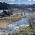 実際訪問したユーザーが直接撮影して投稿した桜ケ岡公園河川広瀬川の写真